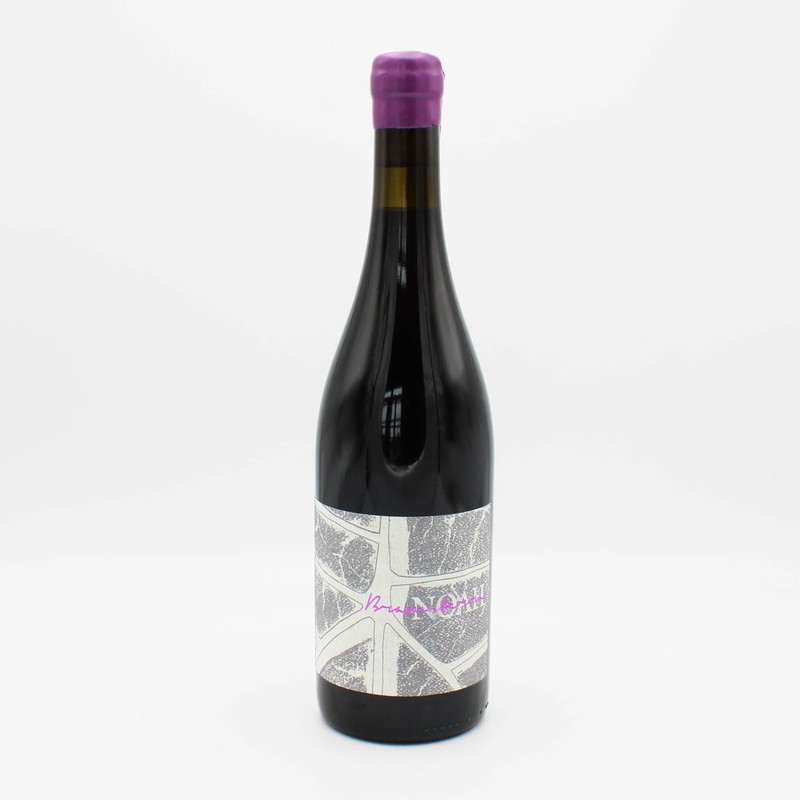 Noah Solero Bramaterra Red Blend 1