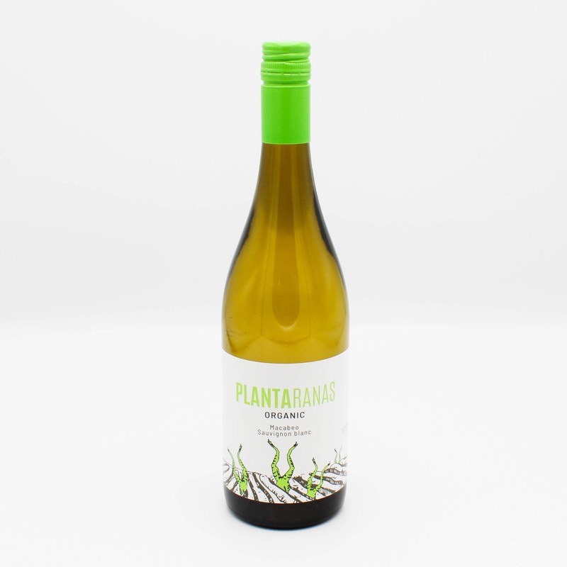 Bodegas Morgante Plantaranas Macabeo Sauvignon Blanc 1