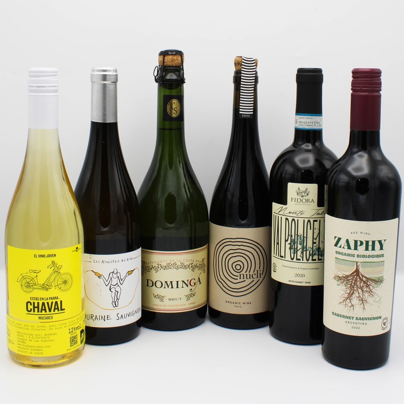 Summer Favourites 6 Pack 1