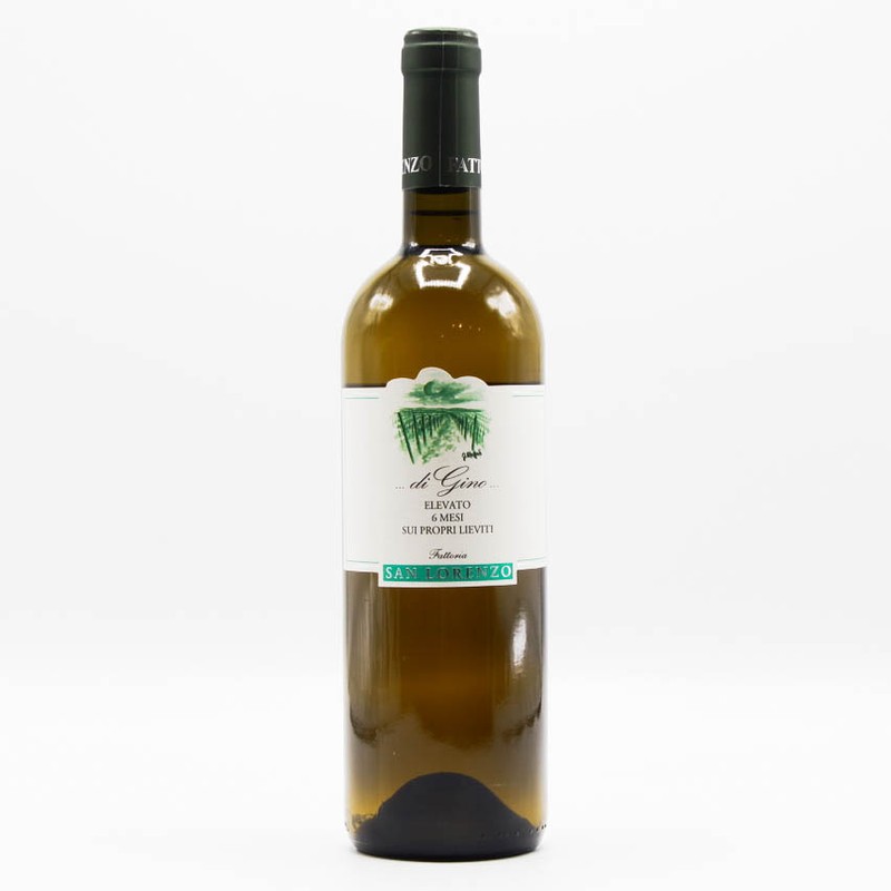 Fattoria San Lorenzo di Gino Verdicchio 1